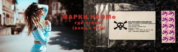 гашик Алексеевка