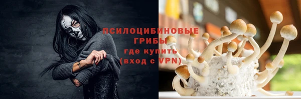 герыч Алексин