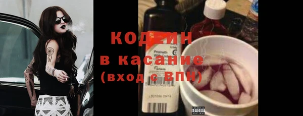 гашик Алексеевка