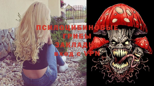 круглые Алзамай