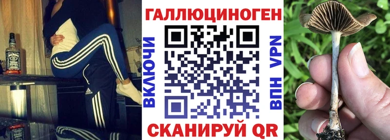 Псилоцибиновые грибы мухоморы  купить закладку  Сясьстрой 
