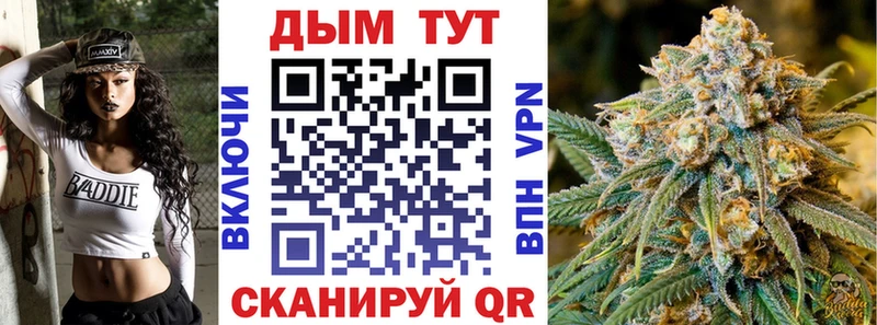 Конопля Bruce Banner  Сясьстрой 